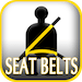 ezc_seat_belt_icon_large